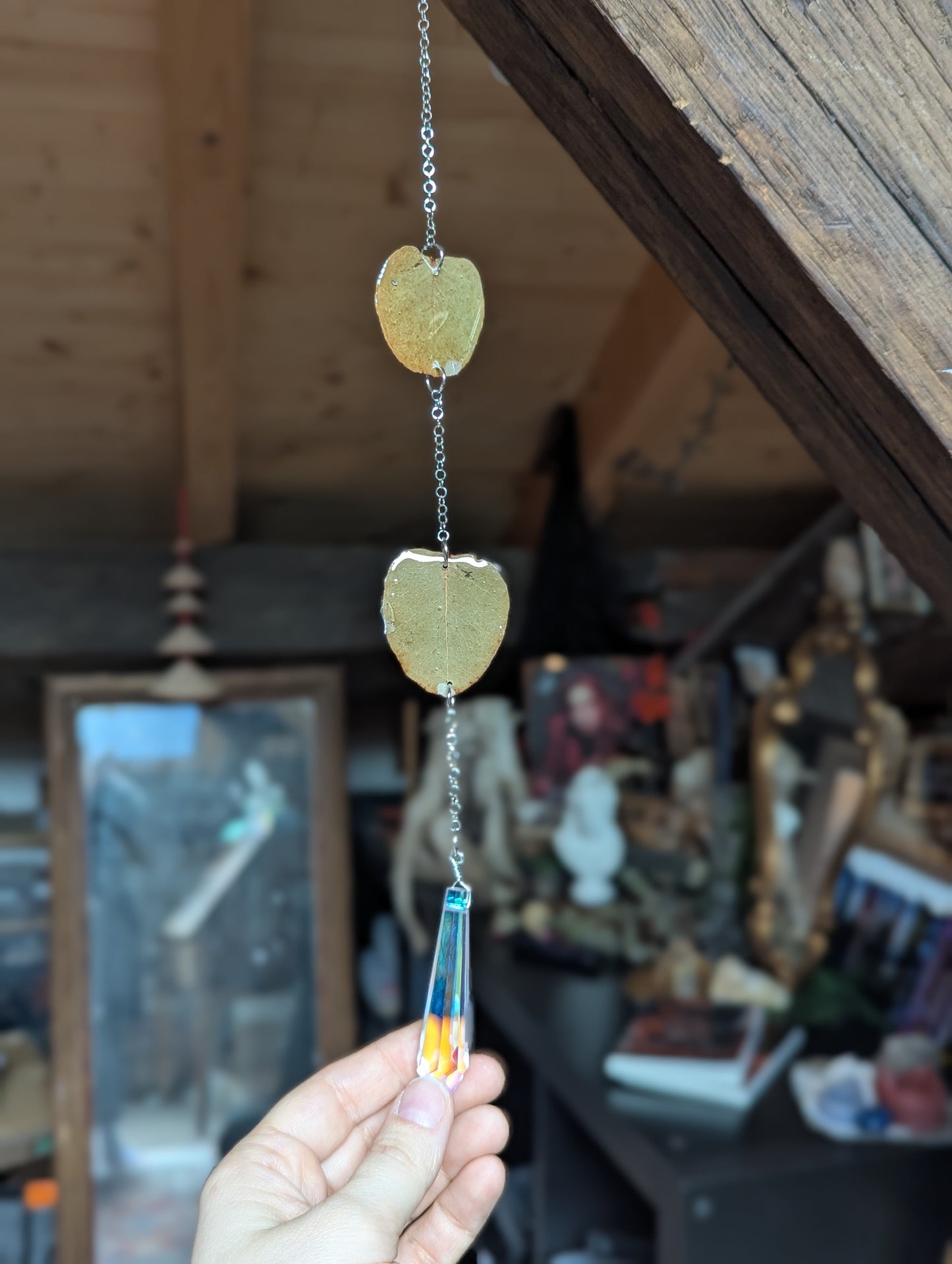 Eucalyptus