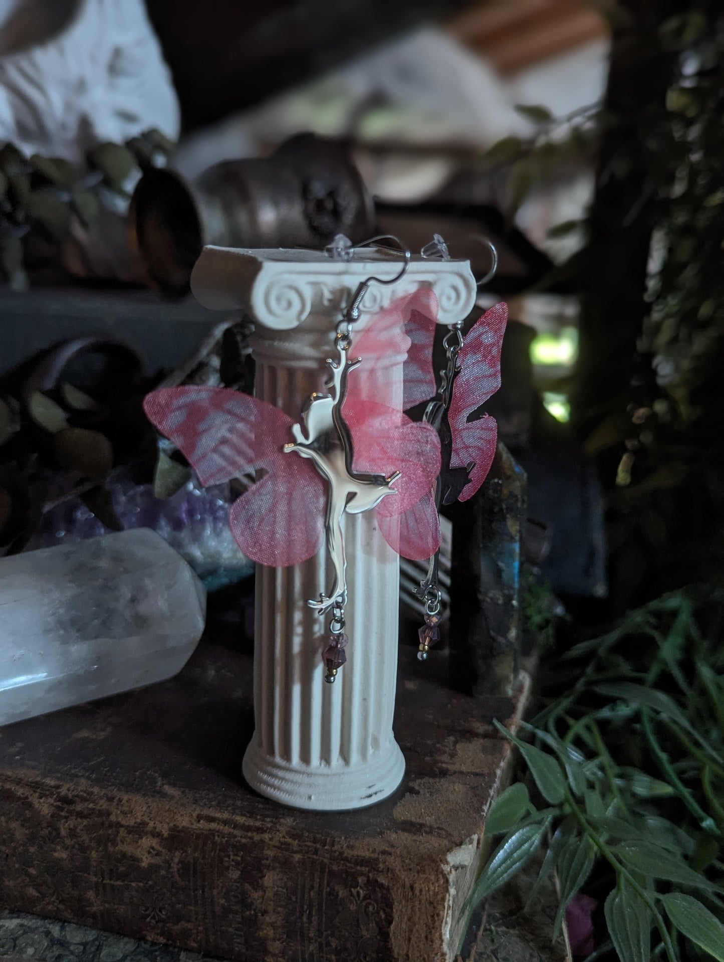 Grenouilles Enchantées
